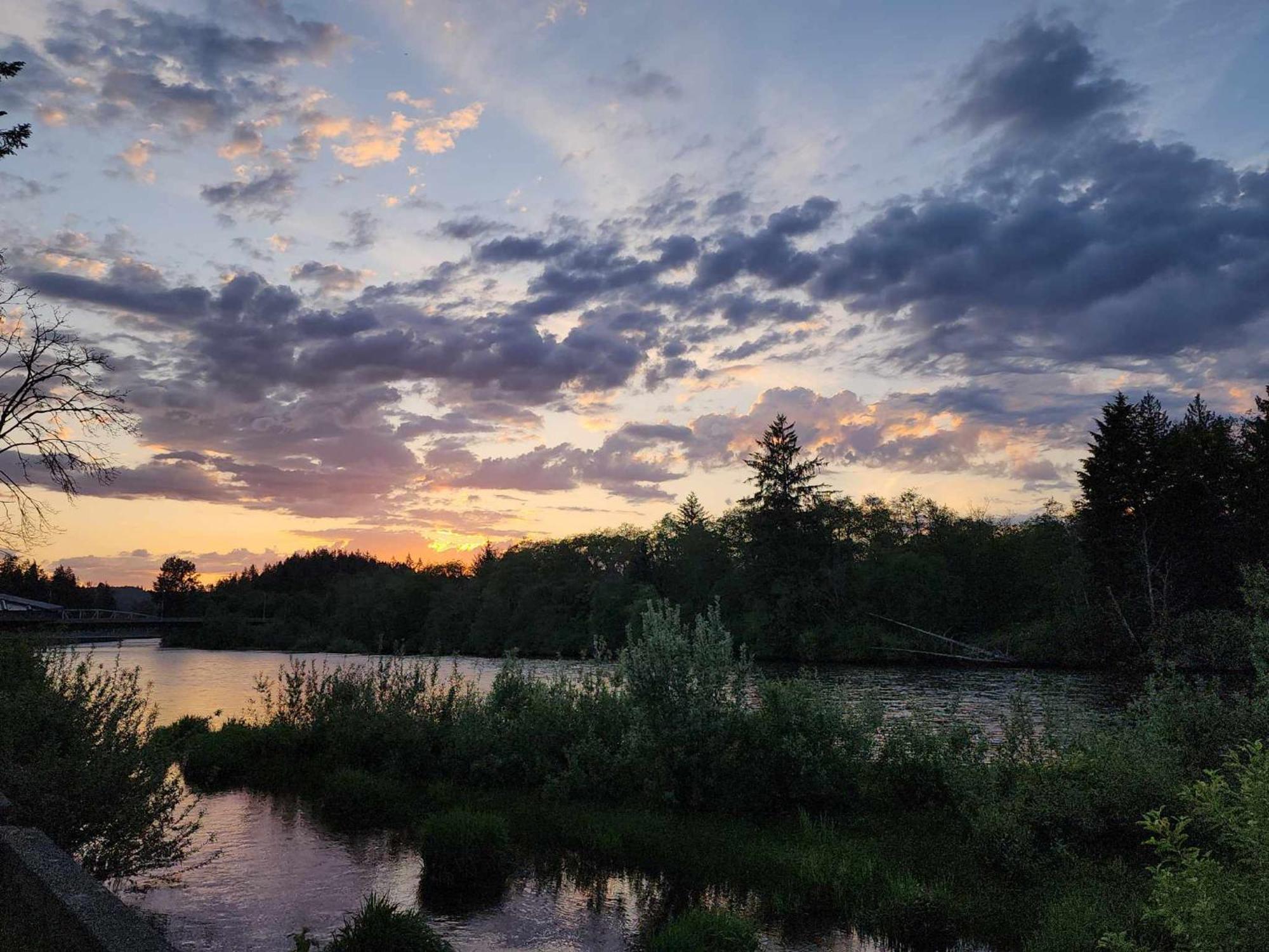 Campbell River Lodge Ngoại thất bức ảnh